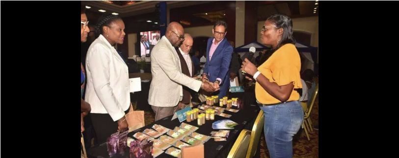 (From left) Jennifer Griffiths, permanent secretary in the Ministry of Tourism; Minister of Tourism Edmund Bartlett; president of the Jamaica Hotel and Tourist Association, Robbin Russell; and chairman of the Health and Wellness Linkages Network, Kyle Mais listen keenly to Pauline Mighty, director of Mighty Spice, during a visit to her stall at the fourth annual staging of the Jamaica Health and Wellness Tourism conference at the Montego Bay Convention Centre on Thursday. (Photo: Philp Lemonte)