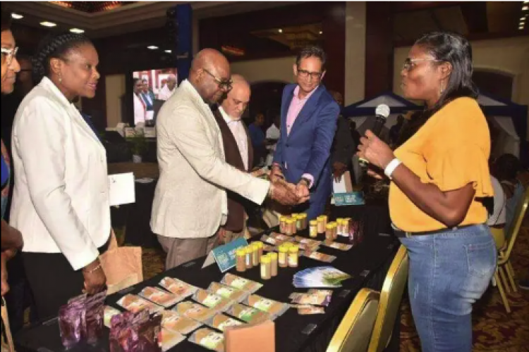 (From left) Jennifer Griffiths, permanent secretary in the Ministry of Tourism; Minister of Tourism Edmund Bartlett; president of the Jamaica Hotel and Tourist Association, Robbin Russell; and chairman of the Health and Wellness Linkages Network, Kyle Mais listen keenly to Pauline Mighty, director of Mighty Spice, during a visit to her stall at the fourth annual staging of the Jamaica Health and Wellness Tourism conference at the Montego Bay Convention Centre on Thursday. (Photo: Philp Lemonte)