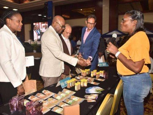 (From left) Jennifer Griffiths, permanent secretary in the Ministry of Tourism; Minister of Tourism Edmund Bartlett; president of the Jamaica Hotel and Tourist Association, Robbin Russell; and chairman of the Health and Wellness Linkages Network, Kyle Mais listen keenly to Pauline Mighty, director of Mighty Spice, during a visit to her stall at the fourth annual staging of the Jamaica Health and Wellness Tourism conference at the Montego Bay Convention Centre on Thursday. (Photo: Philp Lemonte)